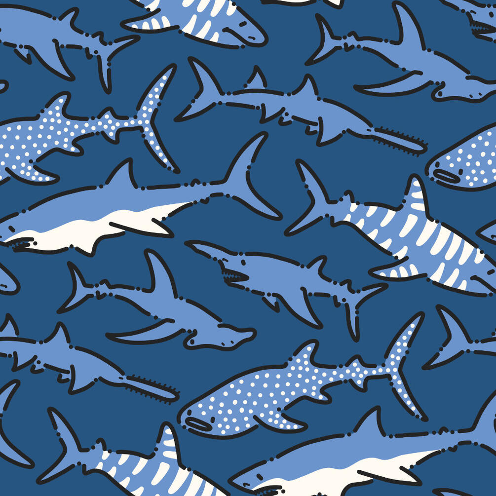Sharks - Marine Life Collection